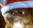  Gizmo 